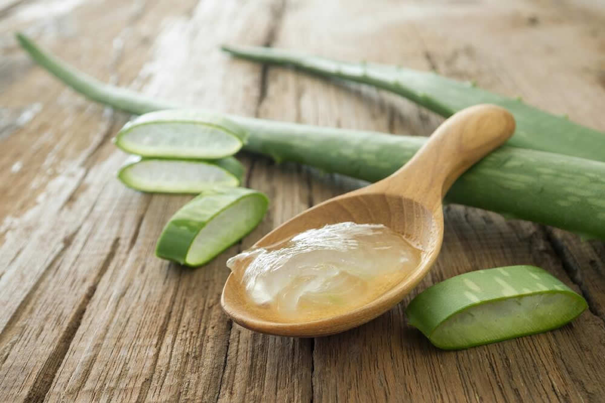 Beneficios de la Aloe Vera Sabila